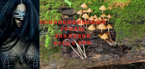 каннабис Алзамай