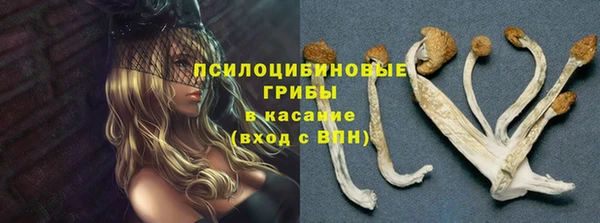 каннабис Алзамай